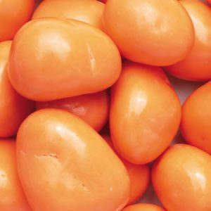 Chocolate Apricots - 10lb
