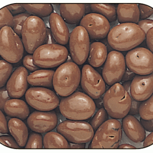 Chocolate-Covered Raisins - 5lb