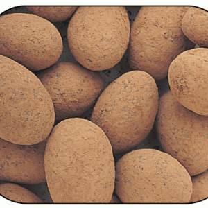 Cocoa Almonds - 5lb