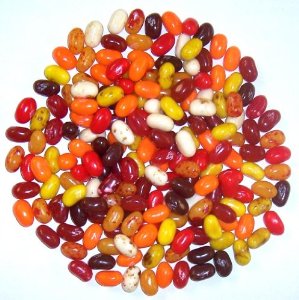 Jelly Belly Autumn Mix - 10lb