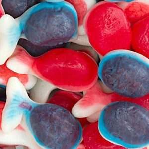 Jelly-Filled Gummy Whales - 2.2lb