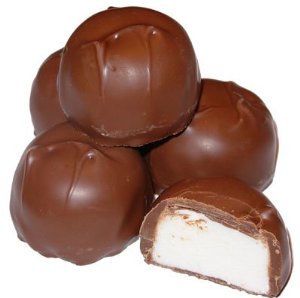 Sugar Free Vanilla Marshmallow Chocolates - 5lb